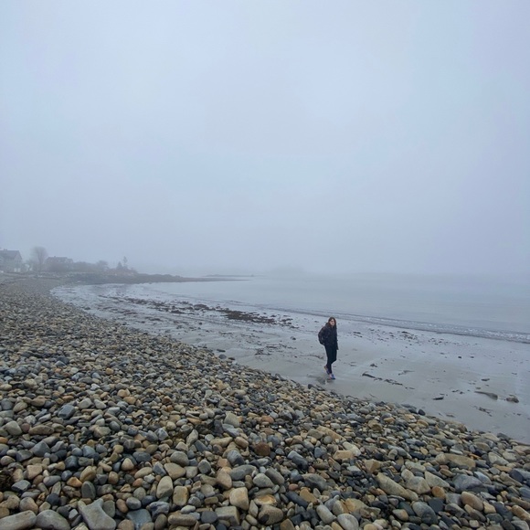 Meet your Posher, Alexa - Picture 1 of 1